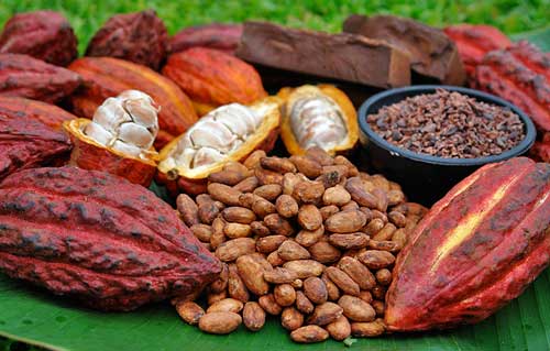 matagalpa tours del cacao