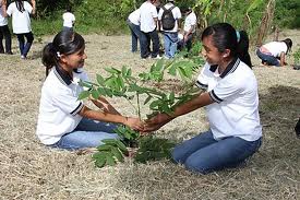 arboretumplanta