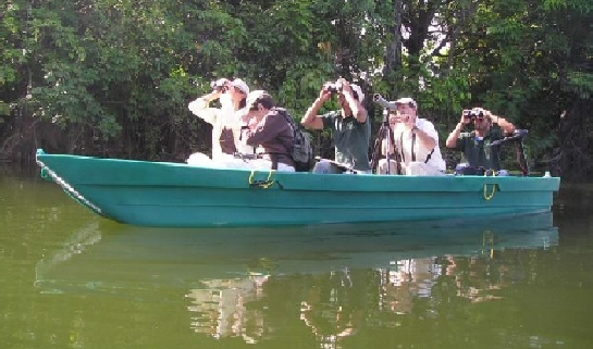 bote de remo y electrico tour entre las isletas obeservacion de aves