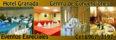 hotel-granada-centrode-concenciones-header