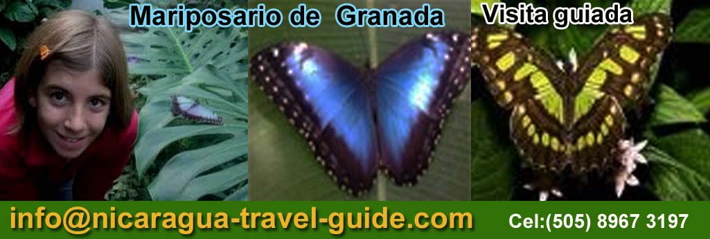 nicaragua travel guide granada mariposario visita guiada